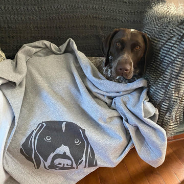 German shorthaired pointer snuggled up in custom blanket